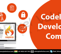 Custom CodeIgniter Development Services Suited To Your Exact Business Requirements – Pixel Values Technolabs
