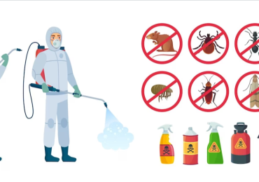 Eco Global Pest Control