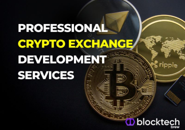 Professional Crypto Exchange Development Services