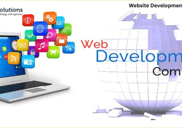 Website Development In Jaipur